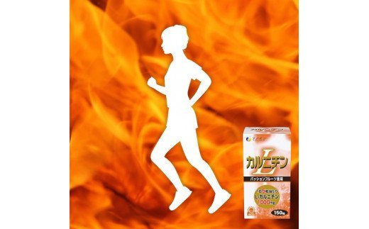 F-41　[ファイン]L-カルニチン　２個セット